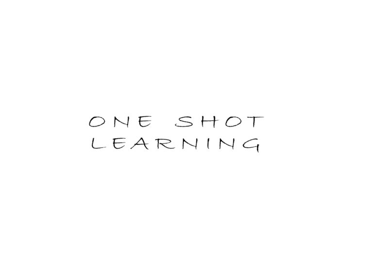 Read more about the article One-Shot Learning